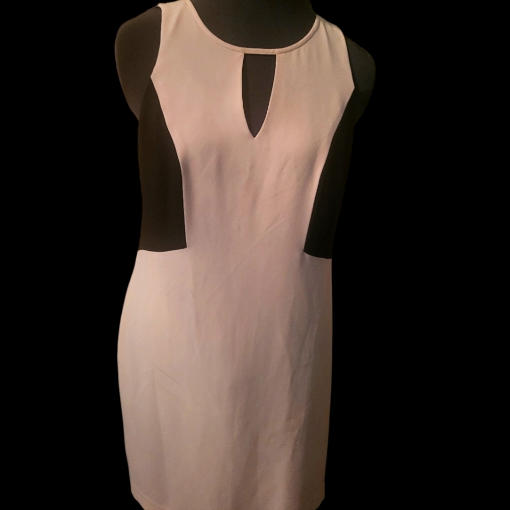 Gianni Bini Dress